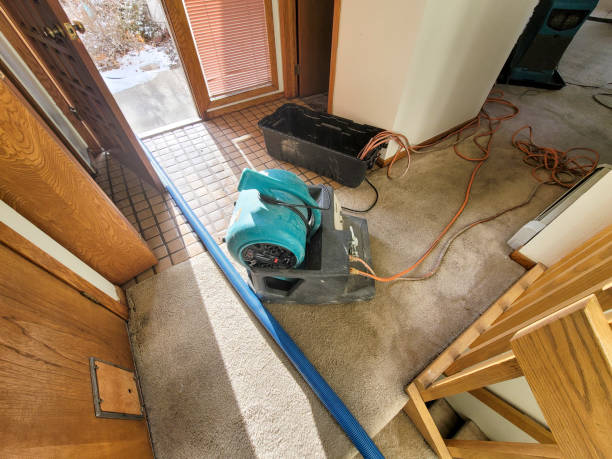 Best Mold removal after water damage  in Mountville, PA