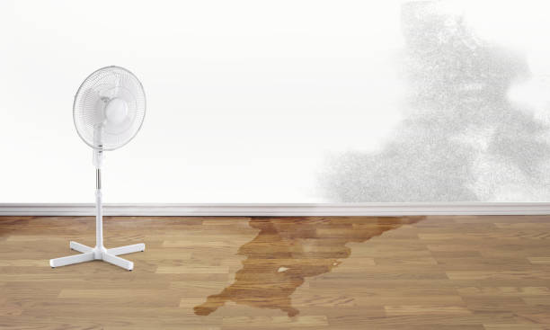 Best Water damage cleanup near me  in Mountville, PA